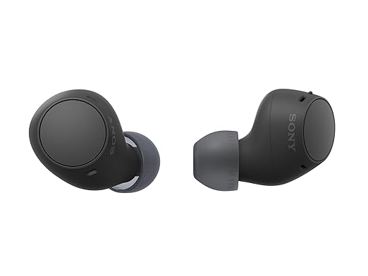 Sony WF-C510 Truly Wireless Bluetooth Earbuds with Mic, TWS, Up to 22 Hours Battery, in Ear, Ambient Sound - 0