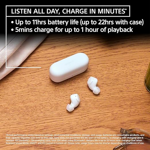 Sony WF-C510 Truly Wireless Bluetooth Earbuds with Mic, TWS, Up to 22 Hours Battery, in Ear, Ambient Sound - 2