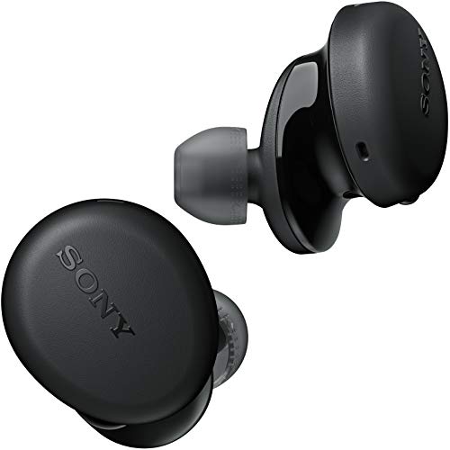 Sony Wf-Xb700 Bluetooth Truly Wireless In Ear Earbuds With Extra Bass, 18 Hours Battery Life, With Mic For Phone Calls, Quick Charge, BT Ver 5.0 - 0
