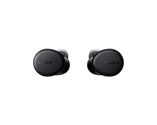 Sony Wf-Xb700 Bluetooth Truly Wireless In Ear Earbuds With Extra Bass, 18 Hours Battery Life, With Mic For Phone Calls, Quick Charge, BT Ver 5.0 - 2