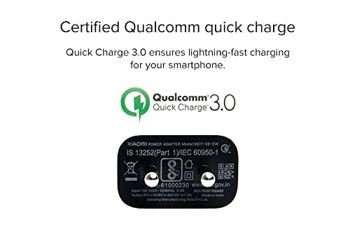 Mi QC 3.0 Charger|18W Wall Charger|Fast Lightning Charging|Certified Qualcomm Quick Charge 3.0 + BIS Certified|Compatible for Mobile, Headphones, TWS, Total - 2